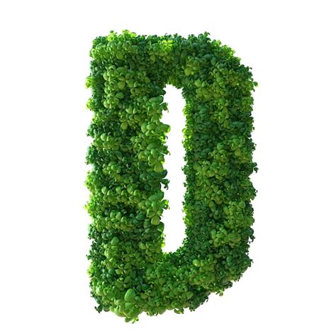 Lettre De L Alphabet D D Plante Verte Feuilles Herbe Mousse