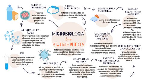 Exposicion Del Mapa Mental De Microbiologia Youtube Hot Sex Picture