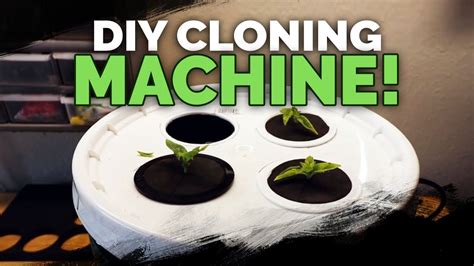 Diy Cloning Machine Two Easy Ways To Build A Propagation Station Youtube