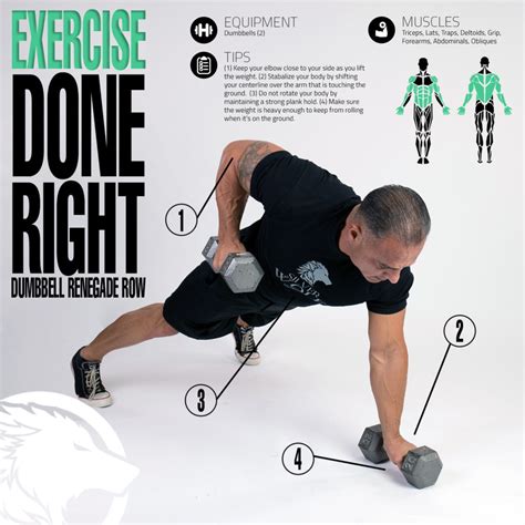 Renegade Row Fitness Workouts And Exercises