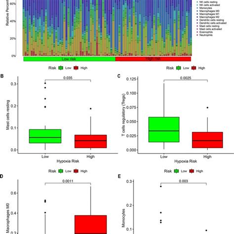 The Difference In Immune Cell Infiltration Between The High Risk Group