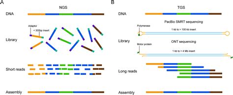 Application Of Third Generation Sequencing In Cancer Research