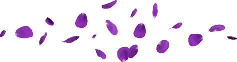 Purple Flower Petals 46646926 Png