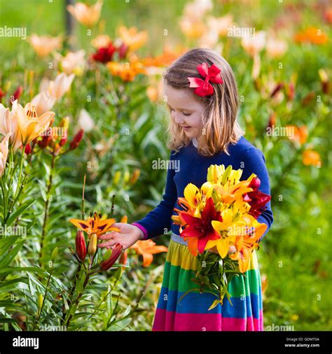 Cute Little Girl Picking Lily Flowers In Blooming Summer Garden Child