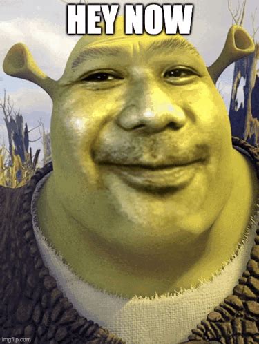 Shrek Shrek Meme GIF - Shrek Shrek meme Disney - Discover & Share GIFs