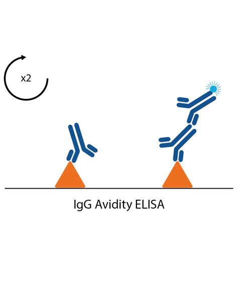 Elisa Formats For Infectious Disease Diagnostics The Native Antigen