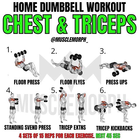 Chest Workout At Home With Dumbbells