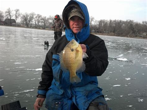Waubay Lake Guide Service Ice Fishing Pictures