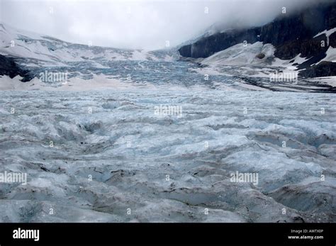 Athabasca Glacier Retreat Hi Res Stock Photography And Images Alamy