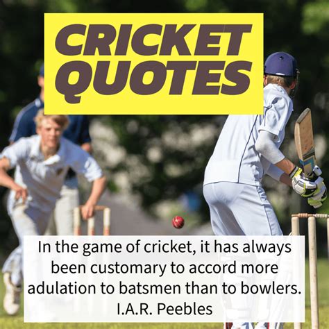 73 Best Cricket Quotes - Swing Into These Takes on the Game