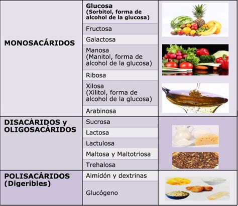 Donde Se Encuentra La Maltosa En Los Alimentos Dinami