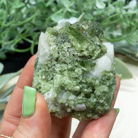 Diopside In Quartz 4 The Crystal Council