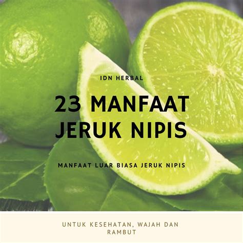 Ternyata Manfaat Jeruk Nipis Madu Dan Garam Manfaat Dan Khasiat 2022