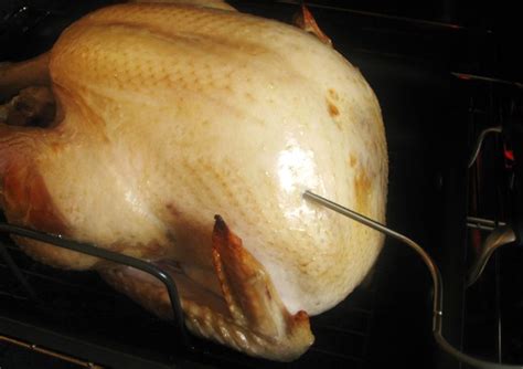 Turkey Thermometer Placement Guide