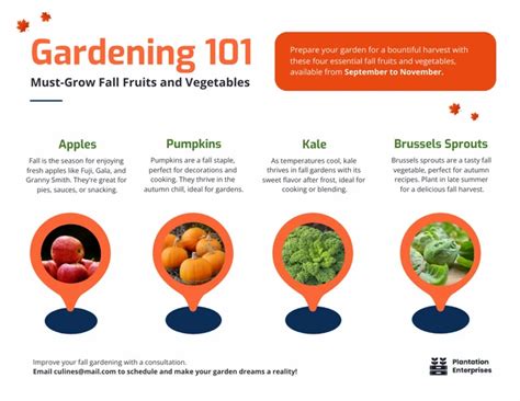 Gardening 101 Infographic Template Venngage