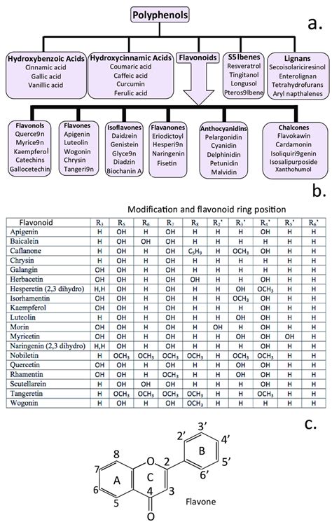 The Flavonoids Classification Of The Flavonoids A Major Sub Category