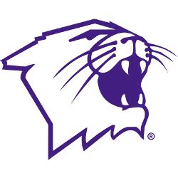 Northwestern Wildcats Alternate Logo | Sports Logo History