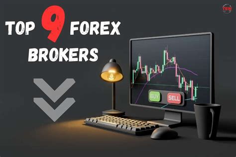 Discover The Top 9 Forex Brokers For Successful Trading And Investments