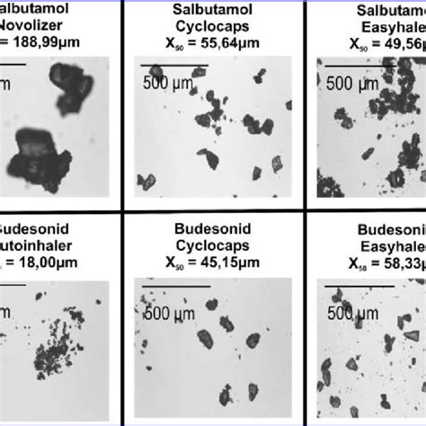 Light Microscopy Of The Different Dry Powder Aerosols Scale Bar