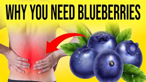 This What Happens When You Eat BlueBerries Every Day Health Benefits