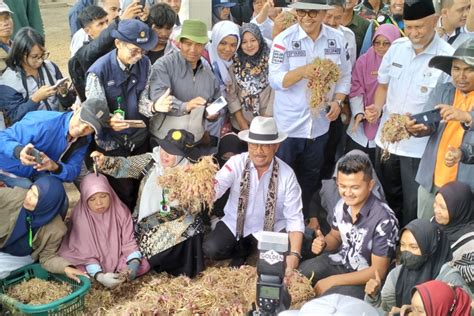 Mentan Dorong Pengembangan Pertanian Terpadu Kawasan Hortikultura