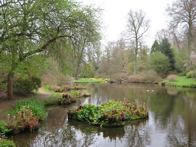 The Garden Wanderer: Savill Gardens, England