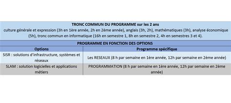 D Couvrez Tout Sur Le Bts Sio Options Programmes Que Faire Apr S