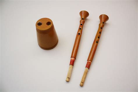 Istarski tradicionalni instrumenti: Instruments