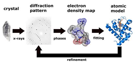 Structural Characterization Methods Nmr X Ray Crystallography