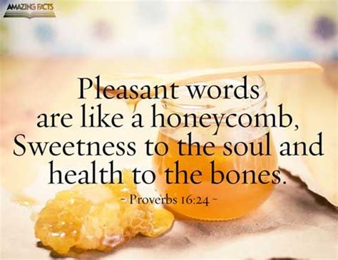 Scripture Pictures From The Book Of Proverbs Amazing Facts