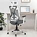 Da Urban Merlion Office Chair High Back Mesh Ergonomic Home Office