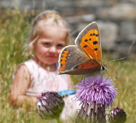 Derbyshire Wildlife Trust Causes Unity Lottery
