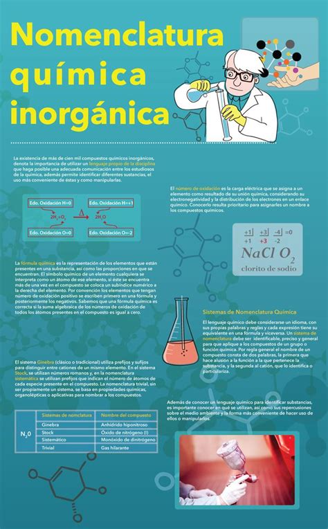 Diferencias De Compuestos Organicos E Inorganicos Lios