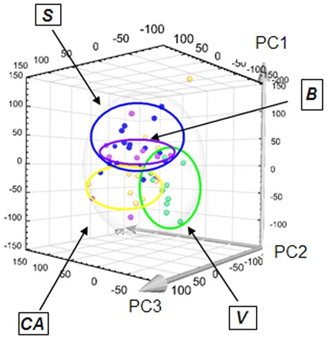 Principal Component Analysis Showing Clusters Corresponding To The 4 Download Scientific