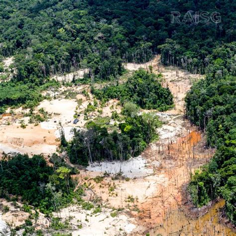 La Amazonía ha perdido vegetación equivalente a Chile ContraRéplica