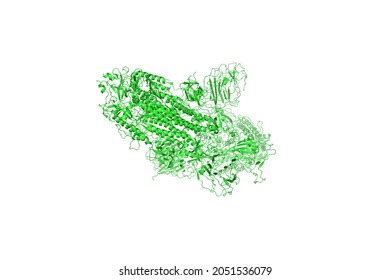 Sarscov2 Spike Glycoprotein Structure Complex Protein Stock ...