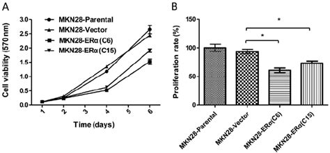 Cell Survival Was Assessed By Mtt Assay The Results Represent The Download Scientific Diagram