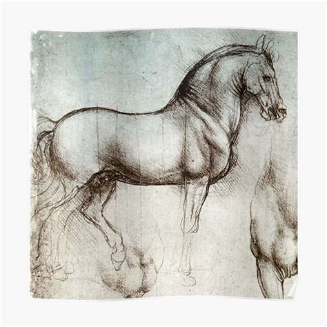 Horse sketches by Leonardo Da Vinci Premium Matte Vertical Poster sold ...