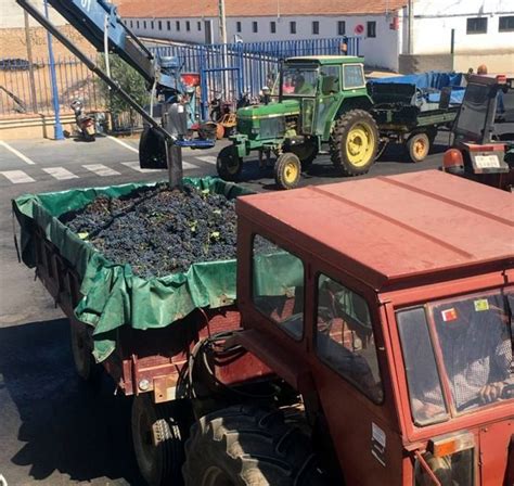 El presidente de una histórica bodega manchega confía en un repunte de