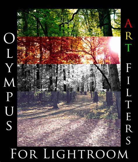 Olympus Art Filter Lightroom Presets | Unlocking Olympus