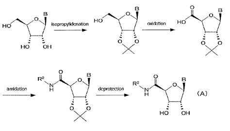 Ribofuranose