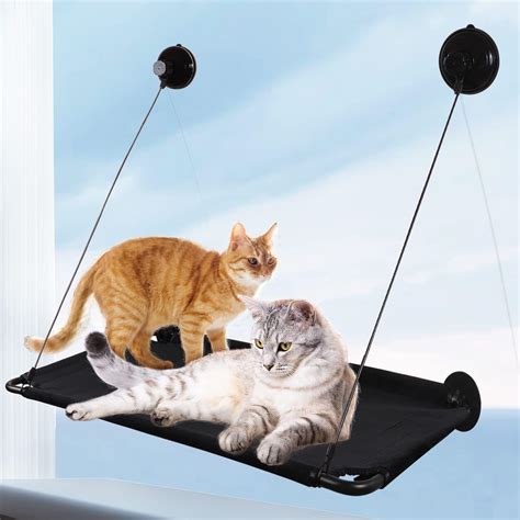 Hamac Chat Fenetre Hamac Pour Chat Hamac De Fen Tre Pour Chat Avec