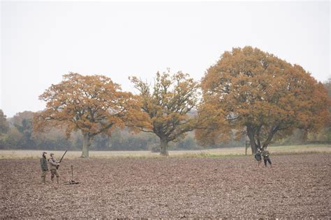 Pheasant Shooting The Season What To Wear Guns Tips And Techniques