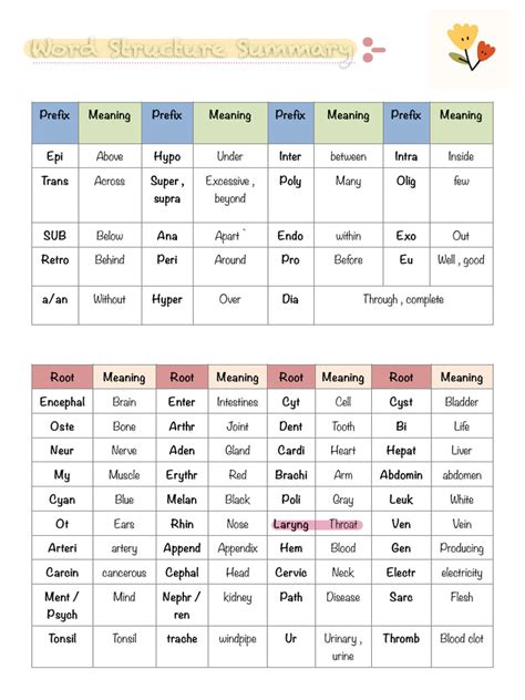 Suffix And Prefix In Medical Terminology Pdf Medical Specialties