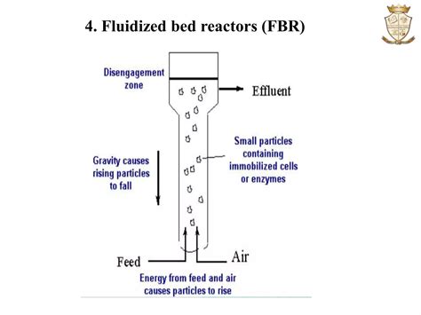 Types Of Fermenters Ppt