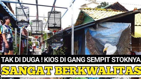 REVIEW BURUNG GACORAN MEWAH YANG DI JUAL FULLSET DI GANG SEMPIT