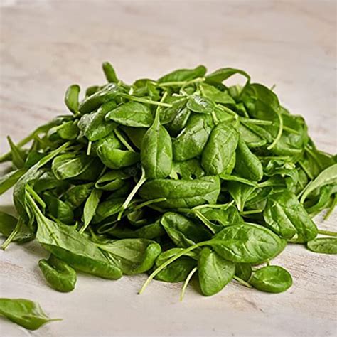 Spinach Seeds Spinacia Oleracea Lettuce Seeds Palang Sag Seed