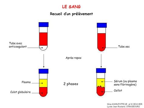 TRAVAUX PRATIQUES DE BIOLOGIE HUMAINE ppt télécharger