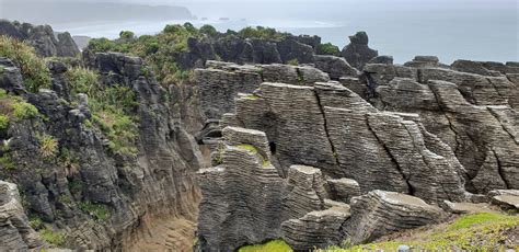 Paparoa National Park Expats Travel Together