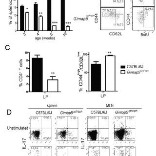 Phenotypic Characterization Of Cd T Cells In Gimap Sph Sph Mice